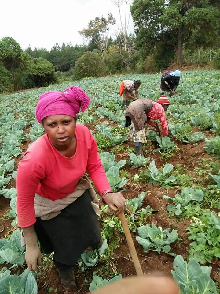 farmers weeding kalse farm