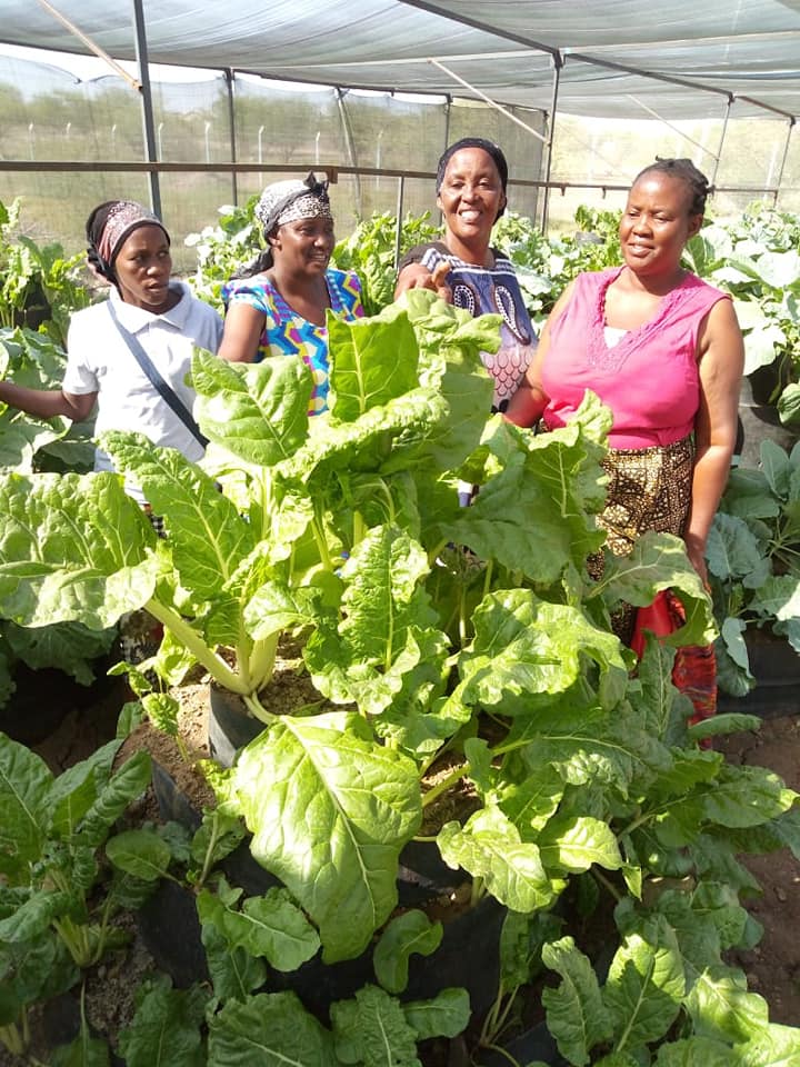 women inspinach vegetables vertical farming