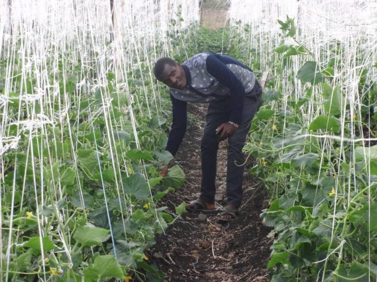 james Nduati agronomist