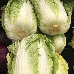 napa cabbage