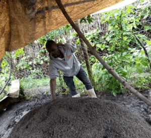 saerd centre farm organic manure