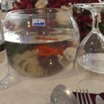 beauty fish decor
