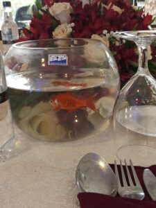 beauty fish decor