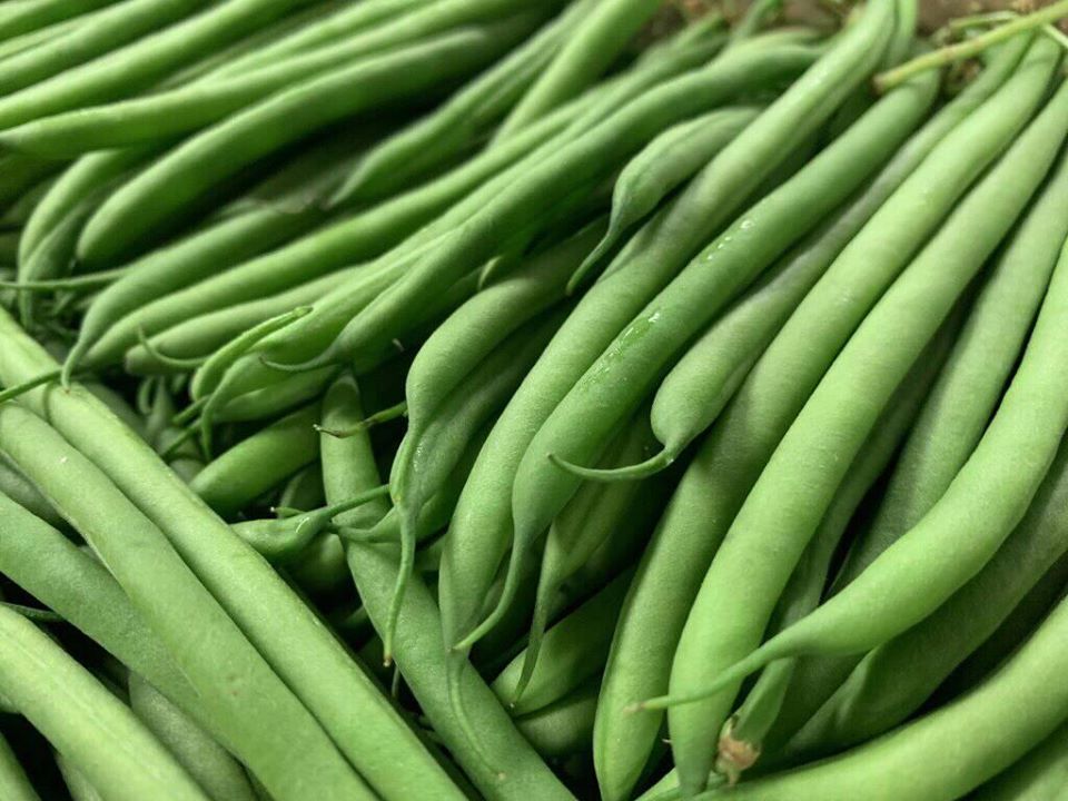 french beans ready for market
