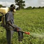 spraying 2