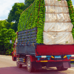 fresh supply chain 2