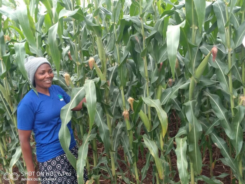 Grace Mbera looking forward to a bamper harvest