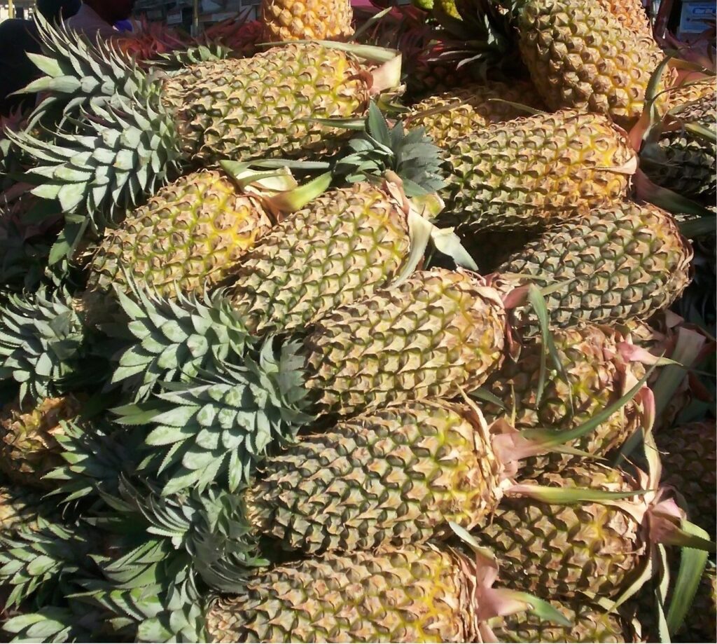 pineapples 1185355