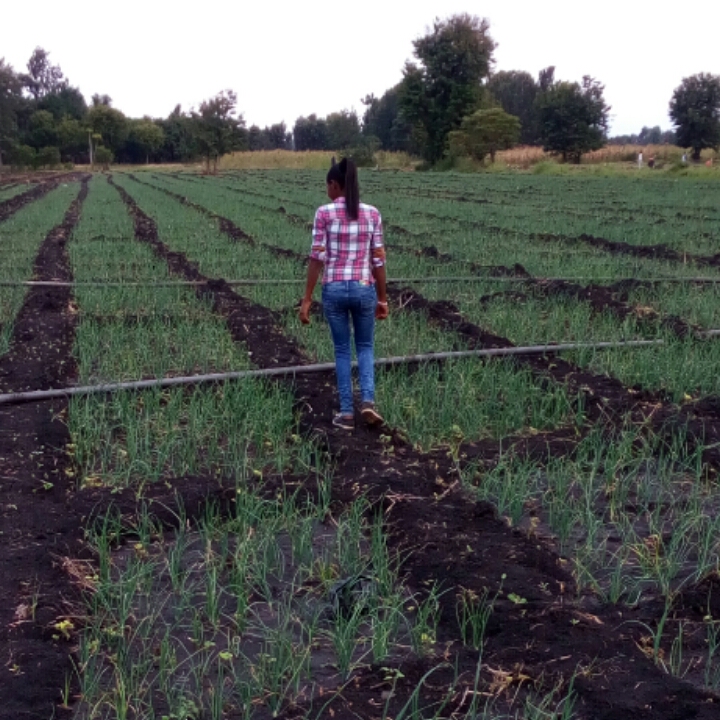 Anne at her onions farm