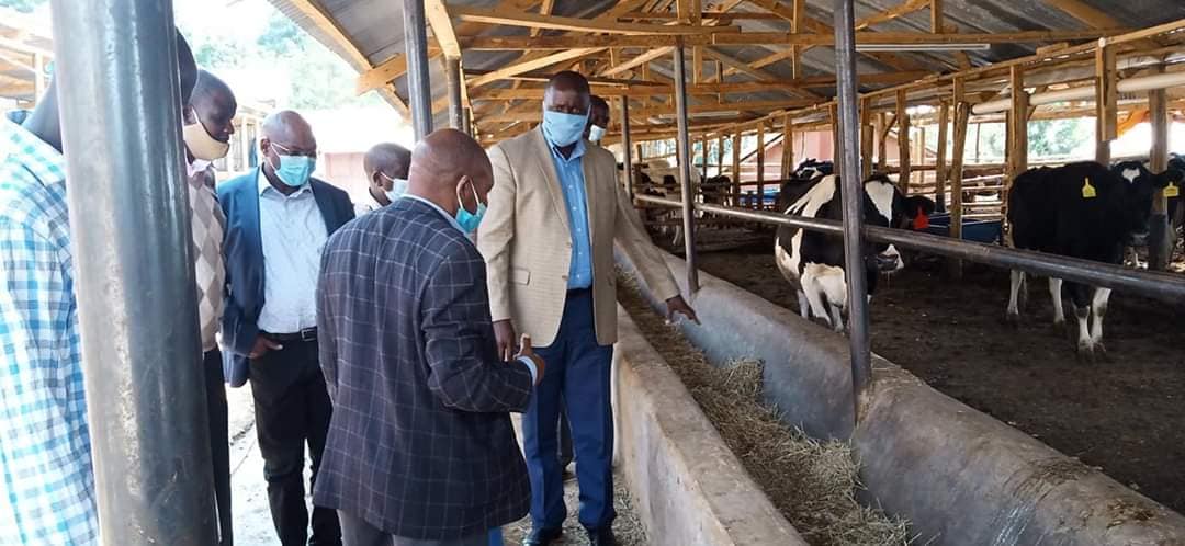 Government officials at Peter Chirchir's farm