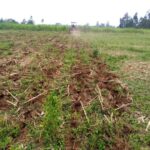 Farmers half costs with ripper ploughing in conservation agriculture