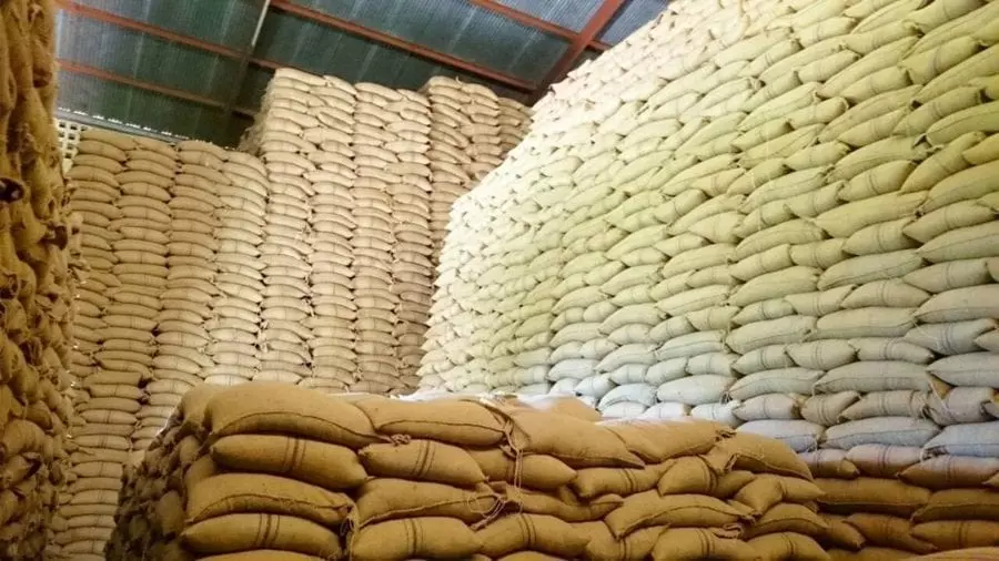 Maize storage