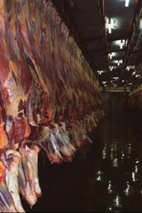 Kenya Meat Commission