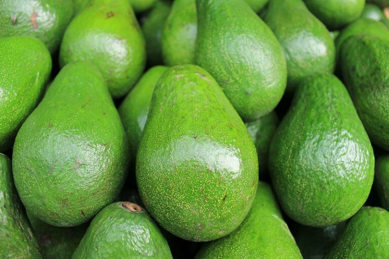 Avacadoes