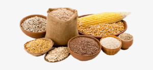 wheat cereal bread png clipart whole grains png