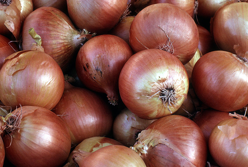 CSIRO ScienceImage 2782 Brown Onions