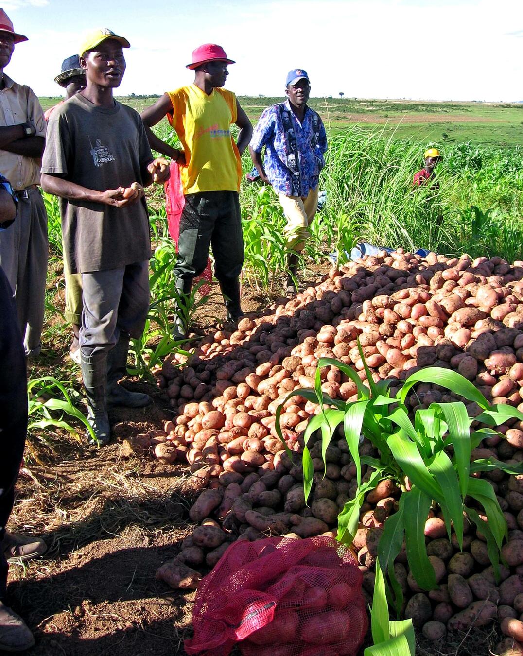 farmers in huambo angola who have received loans for production 50