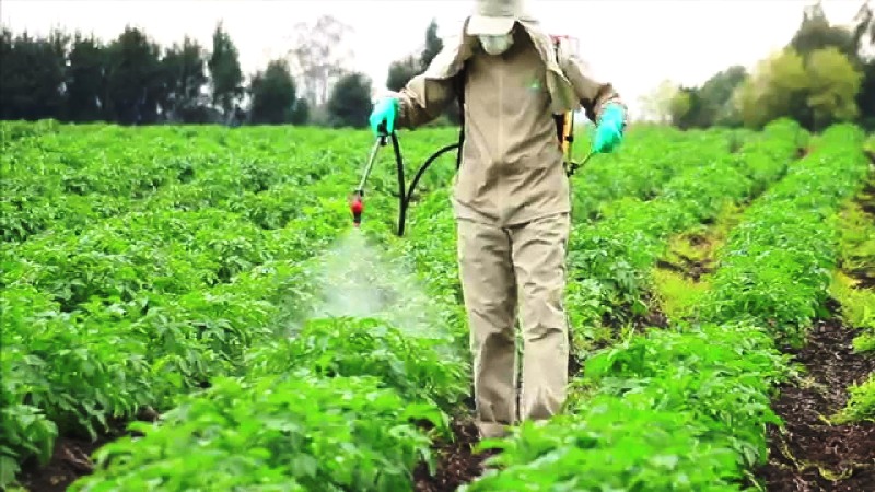 pesticide application safe