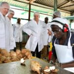 4,500 Kenyan coconut farmers get ready market from US govt partnership with local processor