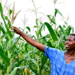 World leaders call for innovative private sector partnerships to finance Africa’s agri