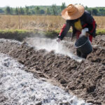 Factsheet: Understanding Soil Liming