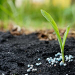 69% of farmers access subsidized fertilizer, disparities remain