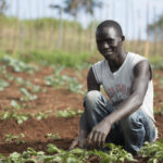 Heifer International extends agribusiness opportunities to 250,000 Uganda youth