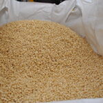 East Africa to have 1.7MT maize surplus, 119% higher than last year