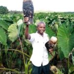 MPS call for alternative foods production to bolster food security