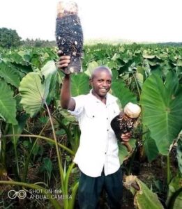 MPS call for alternative foods production to bolster food security