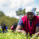 ENI Kenya banks Sh31.96B for Agri-Feedstock Project
