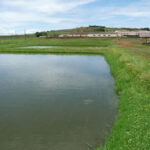 Embu fish farmers champion earthen ponds as alternative to expensive dam liners