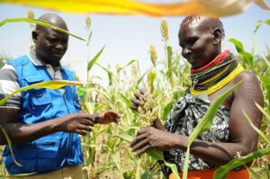COP28: USAID announces $100M support for climate-smart agriculture innovation