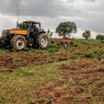 Kenya’s GDP up 5% in 2023 owing to agriculture sector rebound