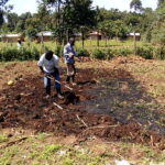 Research shows domestically produced biochar quadruples maize yield