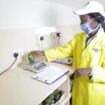 Kakuzi offers free maturity testing as avocado export season announced