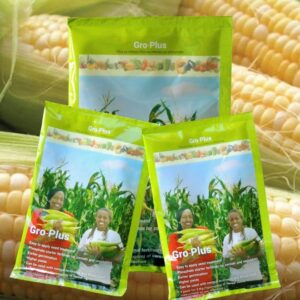 Seed-coating organic fertiliser increases germination rates, upping yield 30%