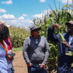 Agriculture extension