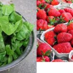 What to eat to prevent heart disease: Kenya’s fastest rising killer