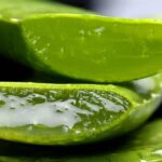 Aloe vera: a glass a day keeps the diabetes away