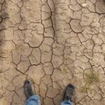 Desertification