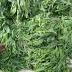 Mchunga: 3-week weed earns for market sellers in coastal Kenya