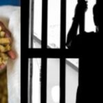 Jail terms for farmers making own feed