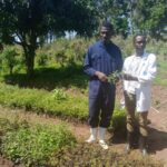 New tree nursery delivers grafted mangoes and macadamia for drought in Siaya