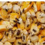 weevil on maize