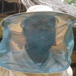 Log hives open way to Sh100,000 a month for Tana River farmer