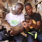 Goat farm in the slums rises from 3 to 30+ goats selling milk and yoghurts