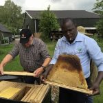 Ugandan honey co. buys from 6000 farmers, open to more through aggregators