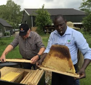 Ugandan honey co. buys from 6000 farmers, open to more through aggregators