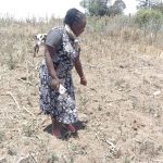 Flash floods wash potatoes away in Nyandarua, cutting staple supplies long-term